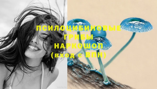 спайс Кодинск